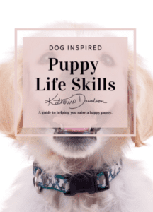 Puppy Life Skills Davidson-1