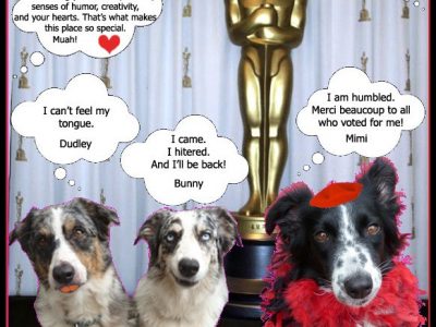 406450_493271327349765_1254107829_n