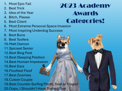 Academy Awards 2023 Graphic